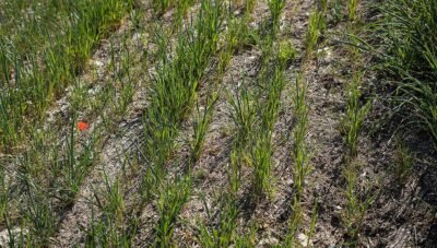 Terreno agrícola en venta en Cuenca | 14 hectáreas de secano