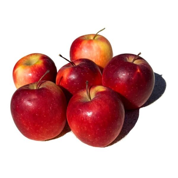 Venta de manzana de temporada en Lleida | Producción propia