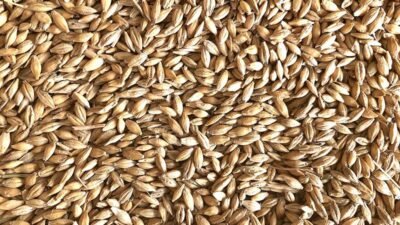 Venta de cereal en Toledo | Producción propia (particular)