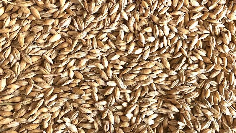 Venta de cereal en Toledo | Producción propia (particular)