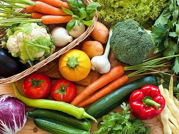 Verdura ecológica en Navarra | Producción certificada