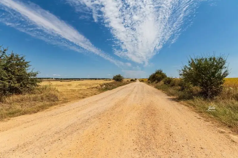 Finca rústica en venta | 25 hectáreas de terreno rural
