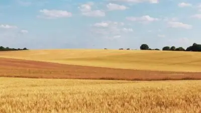 Finca rústica en venta | 25 hectáreas de terreno rural