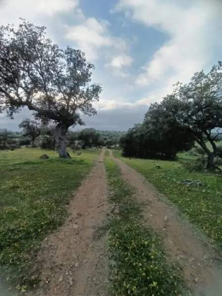 Finca rústica en venta en Cáceres | 48 hectáreas de terreno