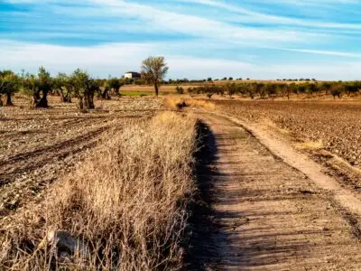 Finca rústica en venta en Cáceres | 48 hectáreas de terreno