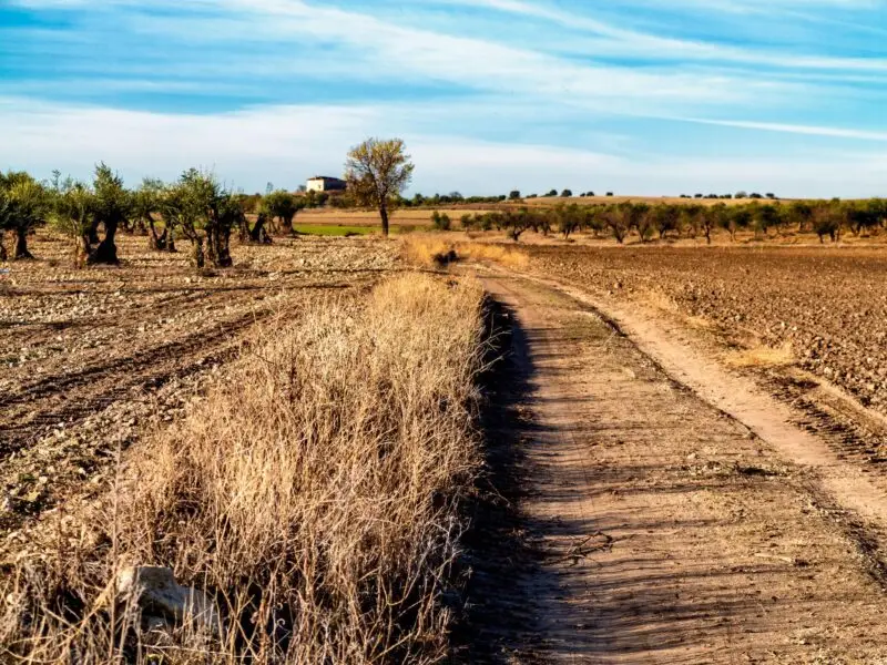 Finca rústica en venta en Cáceres | 48 hectáreas de terreno