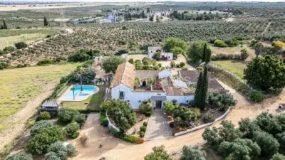 Finca rústica en venta en Sevilla | 95 hectáreas de inversión