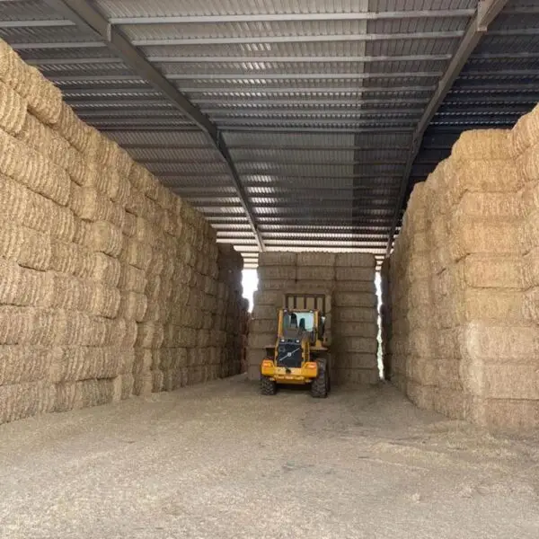 Venta de leña y forraje en Salamanca | Producción propia