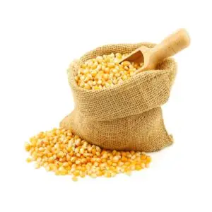 Venta de maíz en grano en Huesca | Producción en volumen
