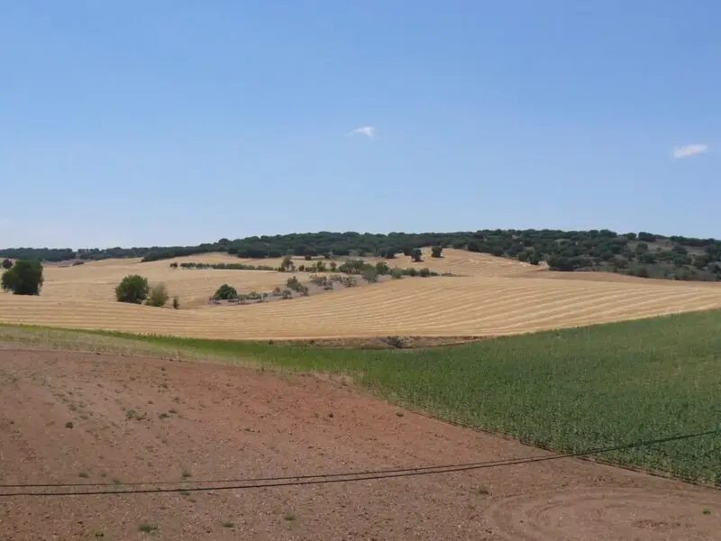 Parcela agrícola en venta en Albacete | 12 hectáreas