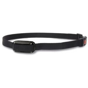Anti-ladridos Dogtrace D-Mute ONE – control eficaz y automático