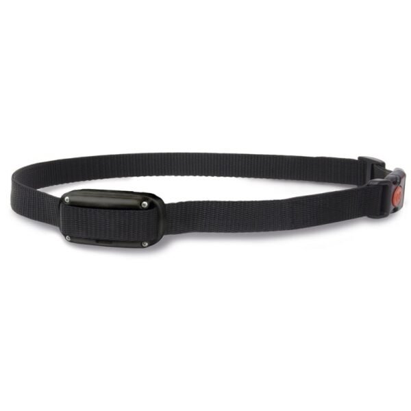 Anti-ladridos Dogtrace D-Mute ONE – control eficaz y automático