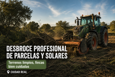 Desbroce profesional de parcelas y solares en Ciudad Real