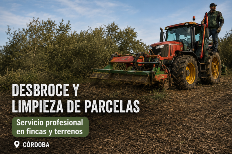 Servicio profesional de desbroce y limpieza de parcelas en Córdoba