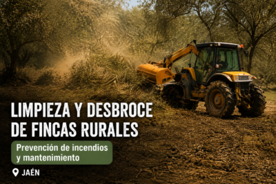 Limpieza y desbroce de fincas rurales en Jaén