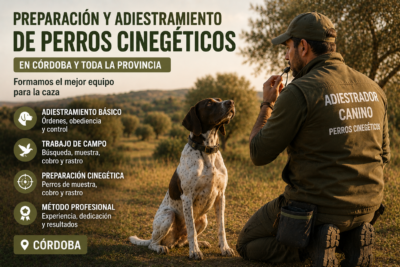 Preparación y adiestramiento de perros cinegéticos en Córdoba