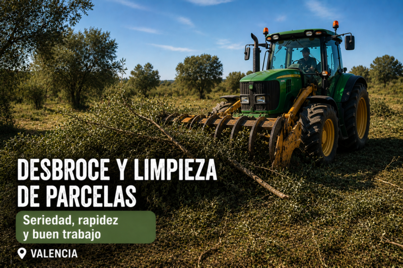 Servicio de desbroce y limpieza de parcelas en Valencia