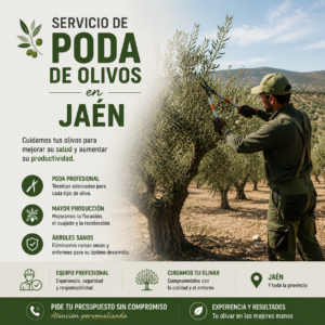 Servicio de poda de olivos en Jaén
