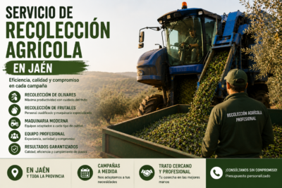 Servicio de recolección agrícola en Jaén