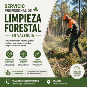 Servicio profesional de limpieza forestal en Valencia