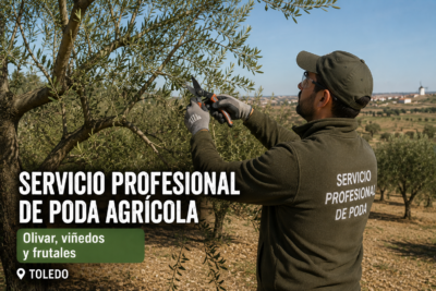 Servicio profesional de poda agrícola en Toledo