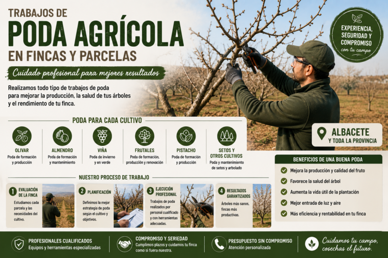 Trabajos de poda agrícola en fincas y parcelas en Albacete